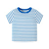 Robin Blue Striped Shirt
