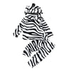 Zebra Stripe Hoodie Sweater & Pants