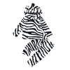 Load image into Gallery viewer, Zebra Stripe Hoodie Sweater &amp; Pants